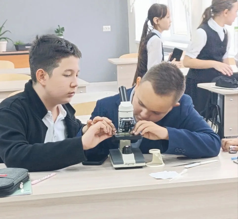 Удивительный микро-мир.
